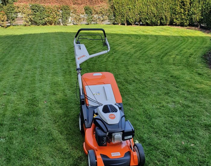 Baumkrone-sichern-Baumrückschnitt Sauber geschnittener Rasenkantenbereich in einem Privatgarten in Friemersheim