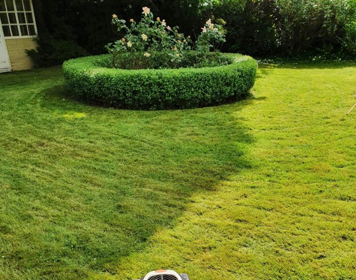 Rasenmähen-firma-duisburg Rasenschnitt mit Profi-Gerät durch Glas & Garten Michel