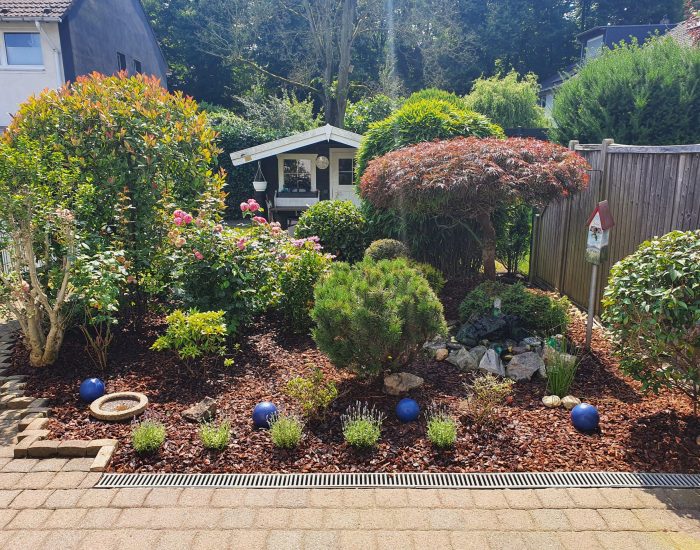 Beetpflege-Duisburg-Frühling-Blumenpflege Unkrautentfernung im Blumenbeet durch Gartenservice in Duisburg-Rheinhausen