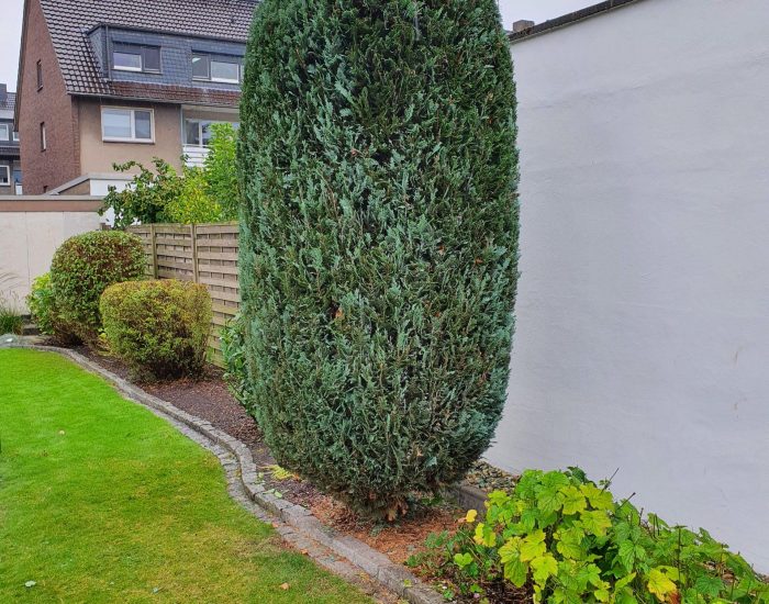 Rasen-, Hecken- und Beetpflege Professionelle Gartenpflege in Rheinhausen: Rasen, Hecken & mehr