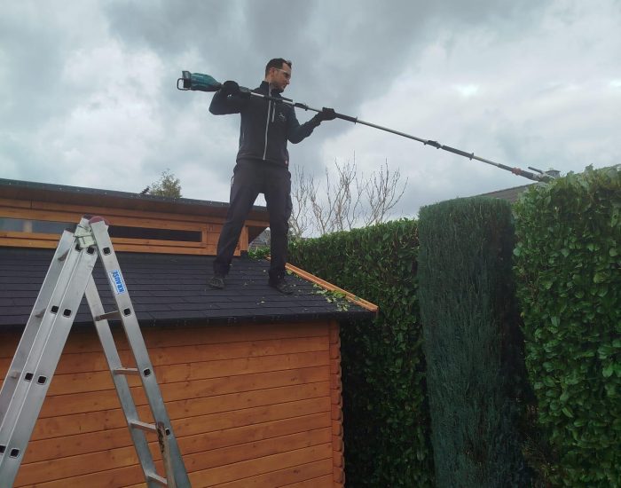 Hecke-stutzen-Gartenpflege-Duisburg Heckenschere im Einsatz bei der Grünpflege in Rheinhausen-Mitte